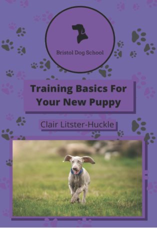 Image of Bristol Dog School puppy training book 