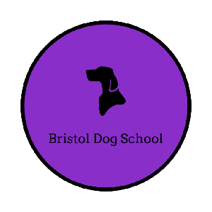 Bristol Dog School
